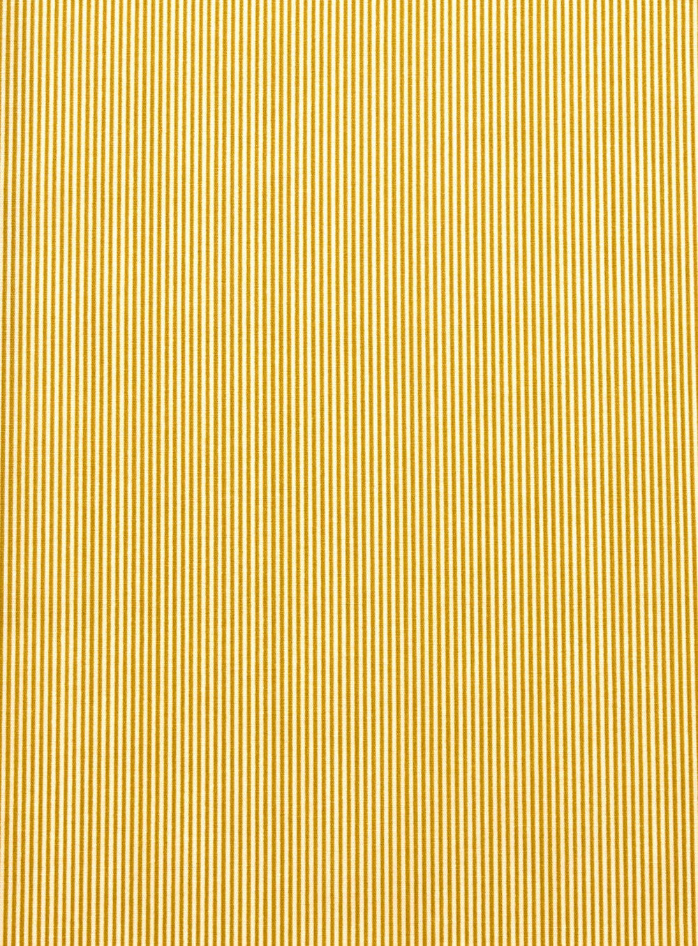 Rigato Moss Cotton Coupon 540 | Petit Pan | Stripe Print | Precut Fabric 50 x 70 cm