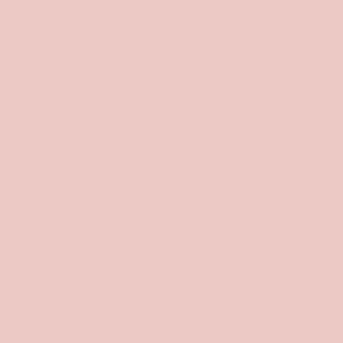 Cotton Candy PE-487 | Pure Solids by Art Gallery Fabrics | Continuous Yardage | Fat Quarter | Quilting Fabric