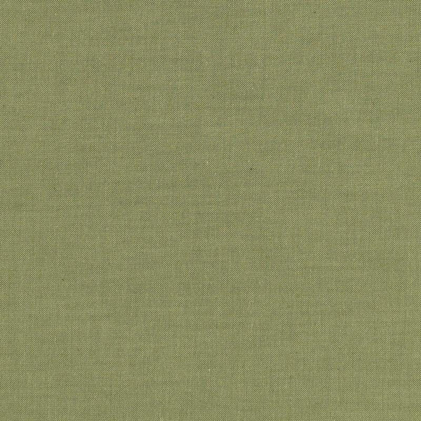 Pine 160033 | Chambray Basics Tilda Fabrics | Yarn Dyed Woven Quilting Fabric | Continuous Yardage | Fat Quarter