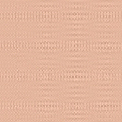 Poppy Seed Dusty Peach 130172 | Poppy Seed Basics by Tone Finnanger | Tilda Fabrics