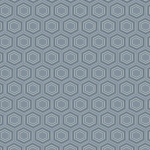 Honeycomb Dreams Blue Gray 228913 | Orchard Season by House of Haricot