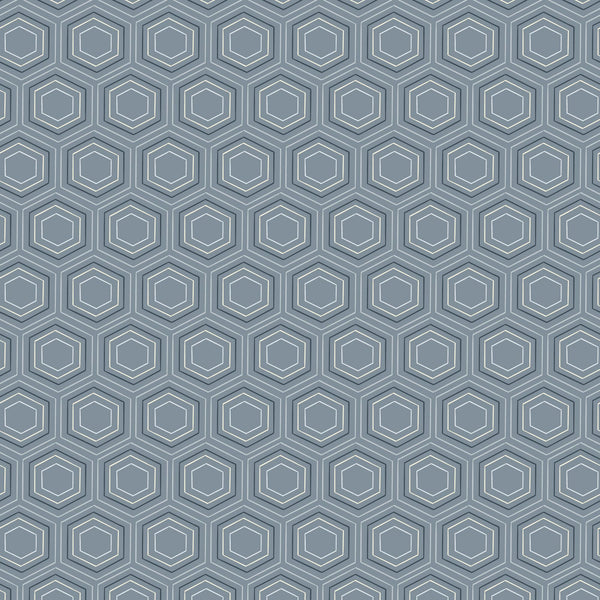 Honeycomb Dreams Blue Gray 228913 | Orchard Season by House of Haricot