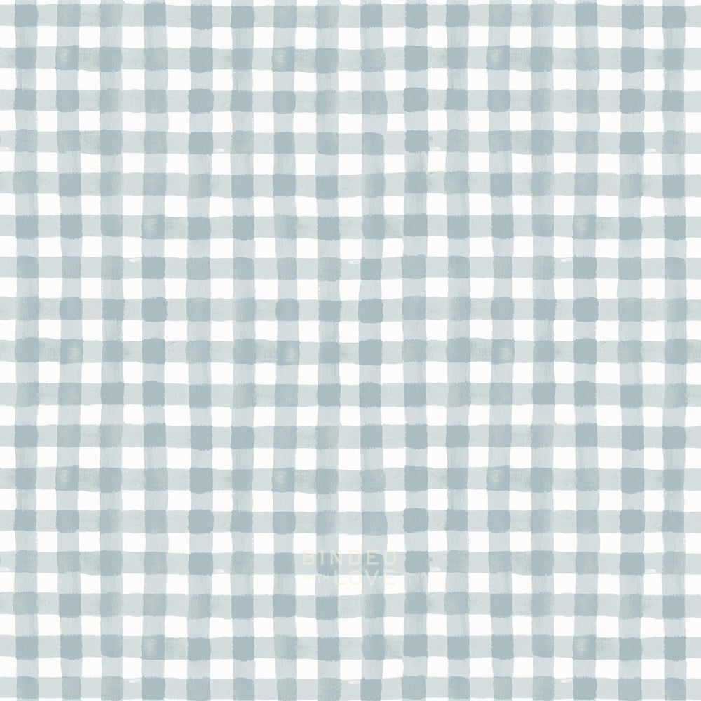 Painted Gingham Slate RP208-SL1 | Meadow by Rifle Paper Co | Cotton + Steel