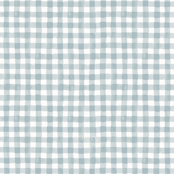 Painted Gingham Slate RP208-SL1 | Meadow by Rifle Paper Co | Cotton + Steel
