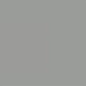 AGF Pure Solids Ash PE-410 | Pure Solids by Art Gallery Fabrics | Continuous Yardage | Fat Quarter