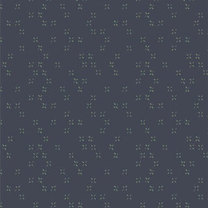 Twinkle Twinkle Galaxy LLP-56703 | Lilliput by Sharon Holland | Art Gallery Fabrics | Continuous Yardage | Fat Quarter