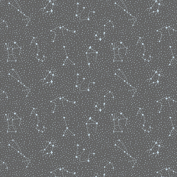 Galaxy Overcast CC406-OV2 | Cosmic Sea by Callie and Co | Cotton + Steel | Continuous Yardage | End of Bolt | Destash