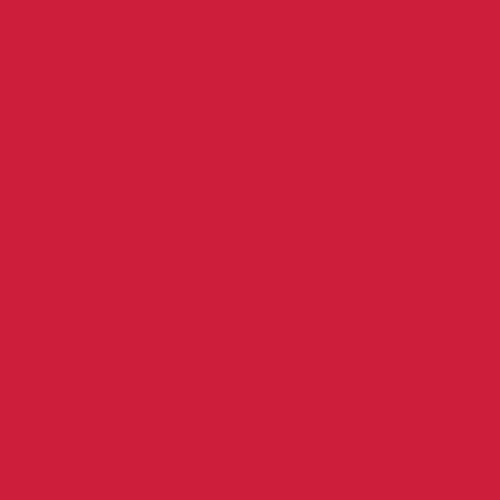 Undeniably Red PE-537 | Pure Solids by Art Gallery Fabrics | Continuous Yardage | Fat Quarter