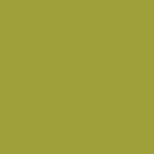 Parrot PE-554 | Pure Solids by Art Gallery Fabrics | Continuous Yardage | Fat Quarter