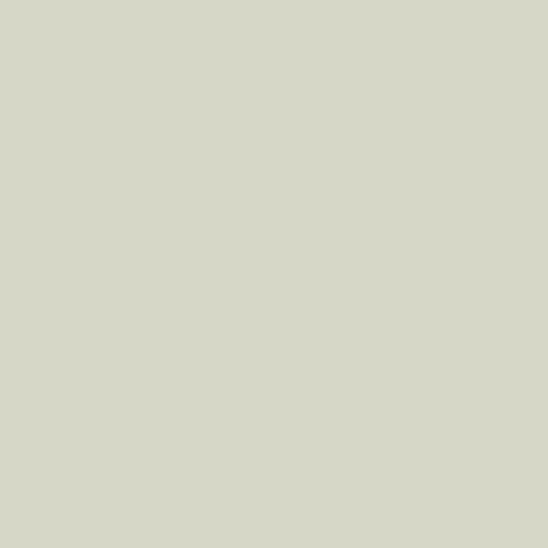 AGF Pure Solids Light Grey PE-419 | Pure Solids by Art Gallery Fabrics | Continuous Yardage | Fat Quarter