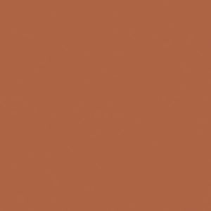 AGF Pure Solids Sienna Brick PE-460 | Pure Solids by Art Gallery Fabrics | Continuous Yardage | Fat Quarter