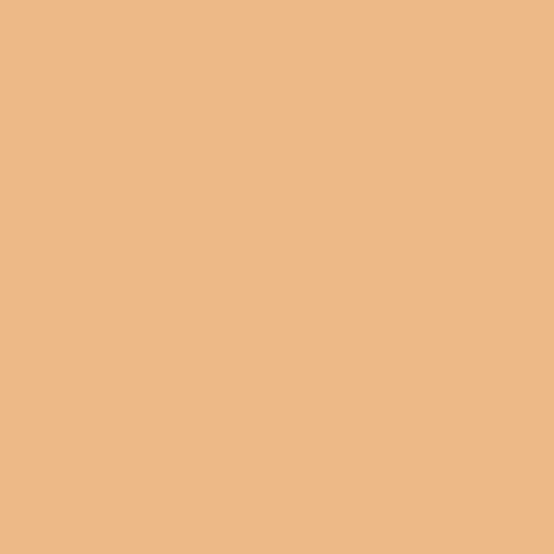 Georgia Peach PE-509 | Pure Solids by Art Gallery Fabrics | Continuous Yardage | Fat Quarter
