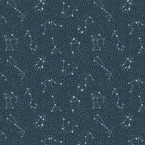 Galaxy Dark Sky CC406-DS1 | Cosmic Sea by Callie and Co | Cotton + Steel | Continuous Yardage | End of Bolt | Destash
